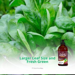 Engrais liquide organique de haute qualité pour légumes, stimulant de croissance des feuilles, acides aminés, acides humiques et fulviques, 500 ml - Product Image 2