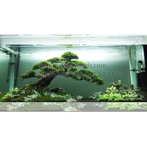 Natural Driftwood Aquarium Decoration Irregular Shape For Fish <b>Tank</b> Indoor Simple Style Transparent Feature Made in VietNam - Product Image 4