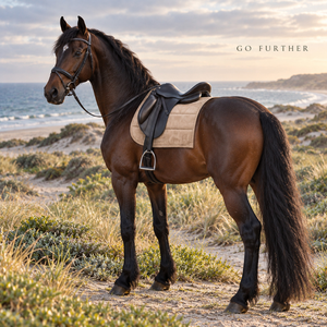 Tapis de selle de cheval beige rembourré avec contour supérieur et bordure |   Conception rembourrée à canaux avec sangles sécurisées pour l'équitation - Product Image 2