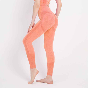 Legging de yoga premium pour femme, séchage rapide, respirant, tricoté, mi-long, avec panneau en maille transparente, extensible, haute qualité, idéal pour l'été - Product Image 1