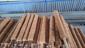 Postes de Fibra de Coco Extensibles y Apilables para Plantas de Interior, Soportes de Fibra de Coco para Plantas Trepadoras como el Árbol del Dinero - Product Image 5