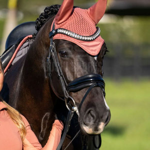 Bonnet d'oreille pour cheval couleur personnalisée en tissu supérieur – Vente directe usine à prix réduit - Product Image 6