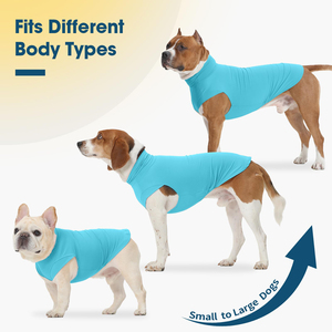 Ropa de verano para mascotas: Camiseta para perro con patrón sólido, chaleco para cachorro con logo y diseño personalizados, ropa para gato de tela suave, prendas lisas al por mayor. - Product Image 3