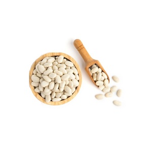Frijoles blancos grandes de alta calidad WKB, nueva cosecha, a precio económico, fabricante de Tailandia, exportaciones a todo el mundo. - Product Image 1