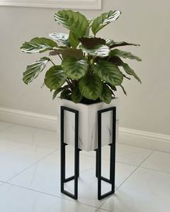Wall Planters Round Metal Powder Coated Hanging <b>Bracket</b> <b>for</b> Garden Outdoor Use - Product Image 1