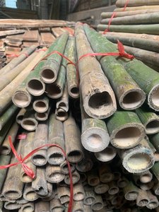 Bâtons et piquets en bambou naturel robustes pour projets de jardinage, clôtures, aménagement paysager, agriculture et applications extérieures - Product Image 6