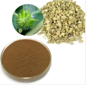 Extrait Sec de Tribulus Terrestris Gokhru en Poudre, Ingrédient Alimentaire Naturel à Base de Plantes Sauvages pour Compléments Oraux - Product Image 2