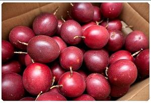 Natural Dried Passion Fruit from Vietnam with Tangy <b>Sweet</b> Flavor and Fruity Aroma - Product Image 6