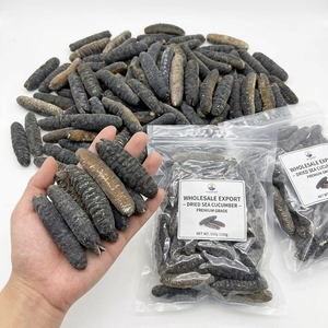 Pepino de mar negro seco / Pescado Teat 500-600 USD/Tonelada para caldos, guisos, procesamiento, suministro a granel 10MT Grado alimenticio - Product Image 6
