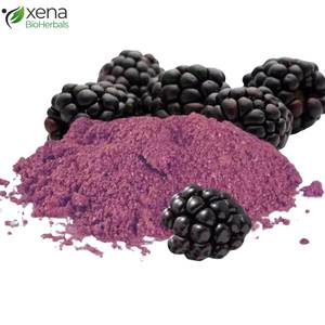 Exportador Directo de Extracto de Aceite de Fruta de Mora Soluble, Extracto Vegetal Premium, Suministro OEM - Product Image 2