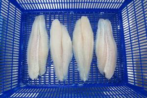 Filete de Basa congelado Comidas rápidas Nutrición completa garantizada | Hecho en Vietnam - Product Image 5