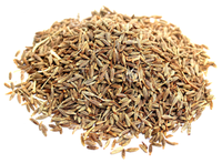 Graines de cumin naturelles de haute qualité à prix de gros, marque propre, épice unique, herbe séchée AD, certifiées ISO, durée de conservation de 2 ans