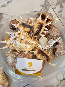 Anneau de serviette décoratif vietnamien, porte-serviettes en forme d'escargot et de coquillage pour les dîners de fêtes et les cuisines domestiques - Product Image 5