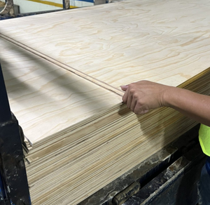 Tablas de madera maciza de pino ecológicas de 4 pies x 8 pies con certificación CE CO, resistentes al agua, para construcción de muebles de madera en interiores E0 - Product Image 5