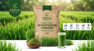 Wheatgrass Powder – Nutrient Rich Green Superfood for Health Supplements, Smoothies, Cosmetics & Nutraceutical Applications - Product Image 5
