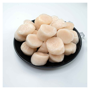 Vieiras Congeladas de Nueva Cosecha en Venta, Carne de Vieras Congelada de Alta Calidad |   Fabricantes de mariscos congelados para exportación, económicos y populares - Product Image 5