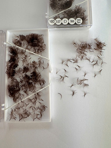 Extensions de cils chocolat mat brun foncé, volume pré-fait, base pointue 0.07, longueurs mixtes, plateaux, thermosoudées - Product Image 3