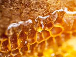 Miel de moutarde de qualité supérieure, grade A+, 100% naturel, jaune clair, miel naturel indien HP Valia, durée de conservation de 24 mois, conditionnement en bouteille - Product Image 3