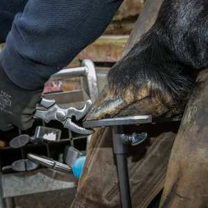 Pince à fer à cheval courbée pour le serrage des clous de fer à cheval, outils et fournitures de ferrage, équipement vétérinaire pour l'entretien des sabots - Product Image 4