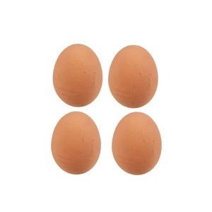 ผู้จัดจำหน่ายไข่ฟักสดจากฟาร์มในประเทศไทย - ไข่ไก่จากฟาร์ม อายุการเก็บรักษา 6 เดือน - Product Image 1