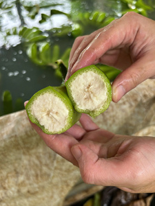Banane verte fraîche entière, fruit tropical de variété courante du Vietnam, pour la vente au détail et en gros au Japon, en Corée et au Moyen-Orient - Product Image 2