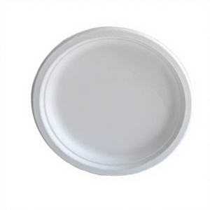 Juego de vajilla de bagazo blanco de 7 pulgadas, compostable y sin árboles, hecho de bagazo de caña de azúcar prensado para fiestas de gran volumen - Product Image 1