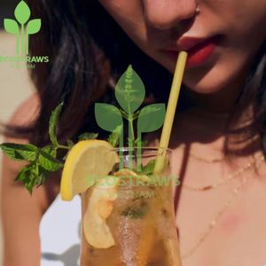 Pajitas de Arroz Ecológicas, Pajitas Sostenibles para Beber en Restaurantes, Cafeterías, Marcas de Bebidas y Suministros de Empaque Ecológico - Product Image 3
