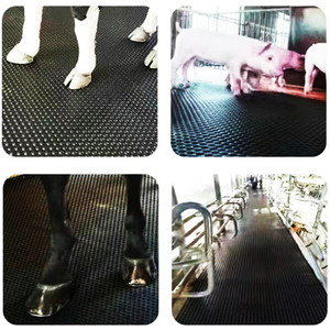แผ่นรองกันลื่นสำหรับคอกม้าหรือแผ่นรองสำหรับรถพ่วงบรรทุกสัตว์ - Product Image 5