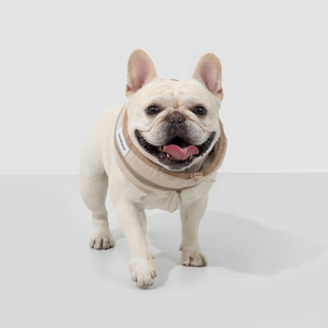 Pet Ice <b>Neck</b> <b>Wrap</b> Quick Dry Polyester Summer <b>Heat</b> Relief Bandana <b>for</b> Large Dogs Custom OEM - Product Image 1