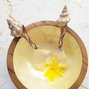 ชุดช้อนตักสลัดเปลือกหอยธรรมชาติพร้อมด้ามจับเกลียว  เป็นมิตรกับสิ่งแวดล้อม ของขวัญขึ้นบ้านใหม่ ราคาประหยัด - Product Image 4