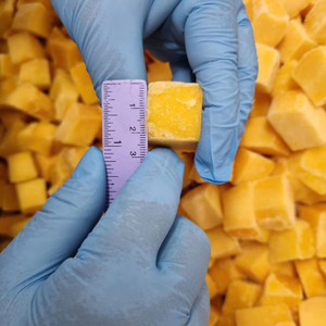 Mango Congelado Comercial en Trozos, Cosechado en Granja, Conservado en Agua, Envasado al Vacío a Granel para Procesamiento de Servicios de Alimentación, Desde Vietnam - Product Image 1
