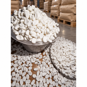 Fournisseur Malaisien – Excellent Prix – Masterbatch de Malaisie – Matière Première Carbonate de Calcium – Granulés – Couleur Naturelle – Pour Soufflage de Films - Product Image 1
