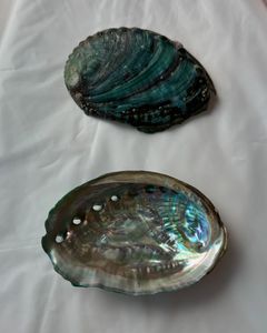 Vietnam Natural <b>Abalone</b> <b>Shell</b> Decorative Seashell Material for DIY Craft Jewelry Home Decoration Wholesale Export - Product Image 4