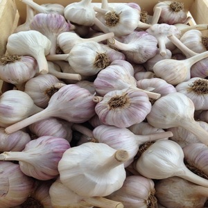 Ajo Blanco Puro/Normal de Primera Calidad en Bolsa de Malla, Cosecha Reciente | Ajo Congelado IQF de Calidad de Exportación de Fábrica de China - Product Image 6
