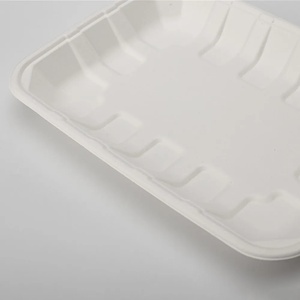 Bandejas de bagazo resistentes para mariscos de 10 x 6 pulgadas, platos desechables para servir carne, para exhibición de pollo y pescado frescos en mercados de mariscos - Product Image 2