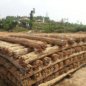 Bâton de rotin naturel de qualité supérieure provenant d'une ferme vietnamienne, matériau manau à bas prix. - Product Image 1