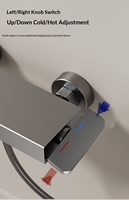 Ensemble de douche portable pressurisé avec douchette à effet pluie et plateforme de rangement pour projets hôteliers