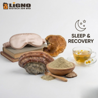 Ligno Biotech LiGNO SH02 Phellinus Linteus Poudre de champignon à spectre complet séchée à froid, qualité alimentaire certifiée pour le sommeil