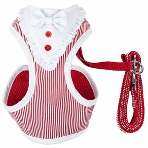 Luxe Spawling Pettorina e Guinzaglio 2-in-1 Regolabili per Cani con Elegante Papillon e Rete Traspirante - Product Image 3