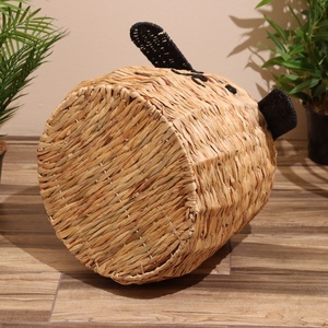 Cesta Infantil Boho de Jacinto de Agua con Forma de Perro y Bolsa de Polietileno, Bonita Cesta para Bebés con Orejas Negras, Organizador de Artículos Diversos, Maceta - Product Image 3