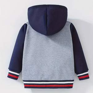 Ventes en gros de sweats à capuche pour enfants, fabrication directe d'usine, sweats en polaire chauds, fabrication OEM pour importateurs, distributeurs et magasins de détail - Product Image 2