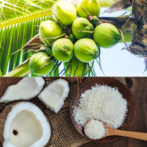 Poudre de noix de coco déshydratée de qualité supérieure, faible en gras, pour la pâtisserie et la transformation alimentaire, provenant du Vietnam - Product Image 6