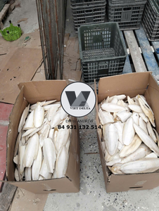 FOURNISSEUR D'OS DE SEICHE DE HAUTE QUALITÉ ET À BON PRIX DIRECTEMENT DE LA FABRIQUE - Product Image 6