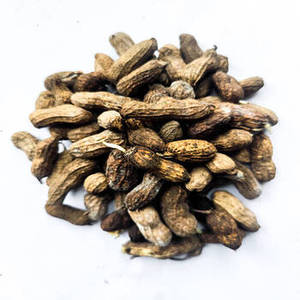 Arachides grillées indiennes de qualité supérieure à texture croustillante pour les acheteurs d'ingrédients alimentaires et les entreprises mondiales de distribution de snacks - Product Image 5