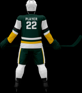 Custom Designs <b>Men's</b> Ice hockey Uniform Sets V-Neck Outdoor Sports Practice Wear Field Hockey Uniforms Sets - Product Image 6
