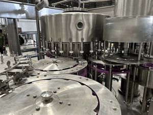 Machine de remplissage automatique de boissons 24 buses Bouteilles en plastique 1000 ml Eau pure Moteur électrique à commande PLC Haute productivité - Product Image 5