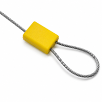 Scellé de câble hexagonal réglable YSD avec serrure inviolable jetable pour le transport
