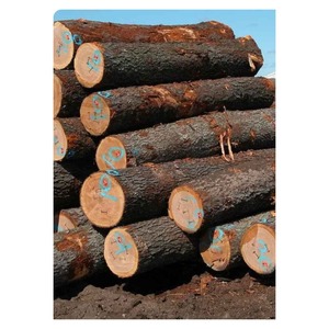 Natural Hardwood <b>Oak</b> Timber Wood <b>Logs</b> for Architectural Projects Custom Furniture and Interior Finishing - Product Image 4