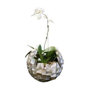 Artisan Crafted Mother of Pearl Shell Mosaic Display Vase Elegant Decorative Piece for Contemporary Home Interior - Product Image 4