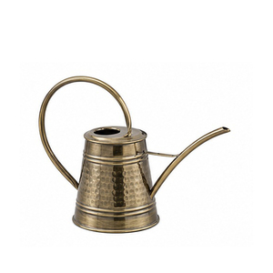Elegant Hammered Iron Water <b>Cane</b> Hot Selling Metal Water <b>Cane</b> Home and <b>Garden</b> Decorative Easy Pour Watering Cans Spray - Product Image 1